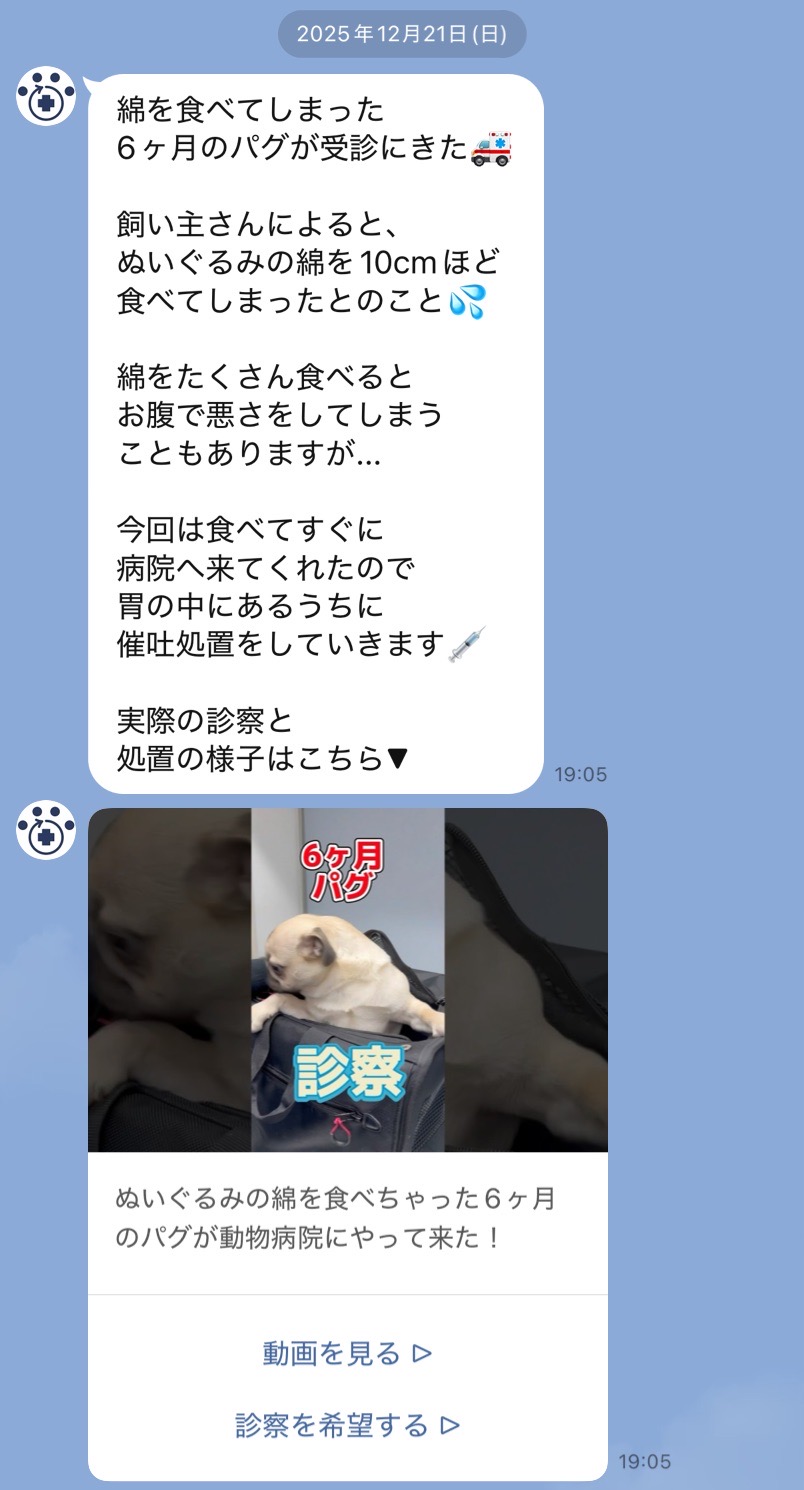 毎週日曜日にコラムを配信す